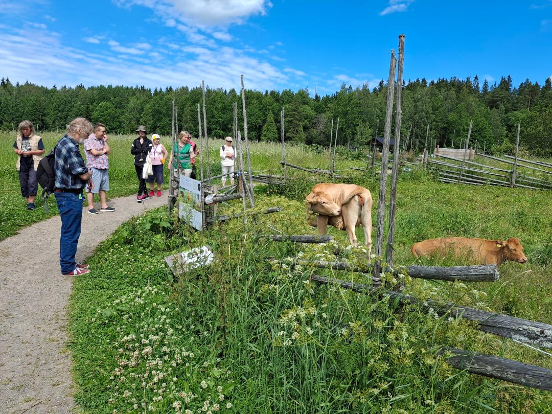 reppuretkellä elonkierrossa